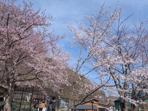 PXL_20260425_053958990