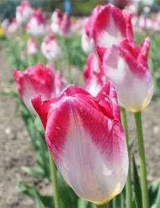 visit_img002